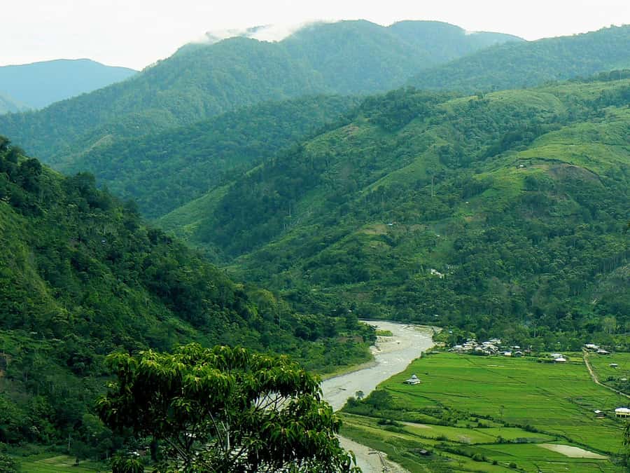 Medan: Mount Leuser National Park Full-Day Trip - What You Might See: Orangutans, Monkeys, and Timing