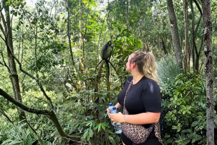 Medan: Mount Leuser National Park Full-Day Trip - Price and Value: Is $129 Worth It?
