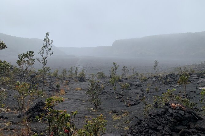 Meet in the park - Private Hawaii Volcanoes National Park Tour - Kīlauea stop: the world’s most active volcano area