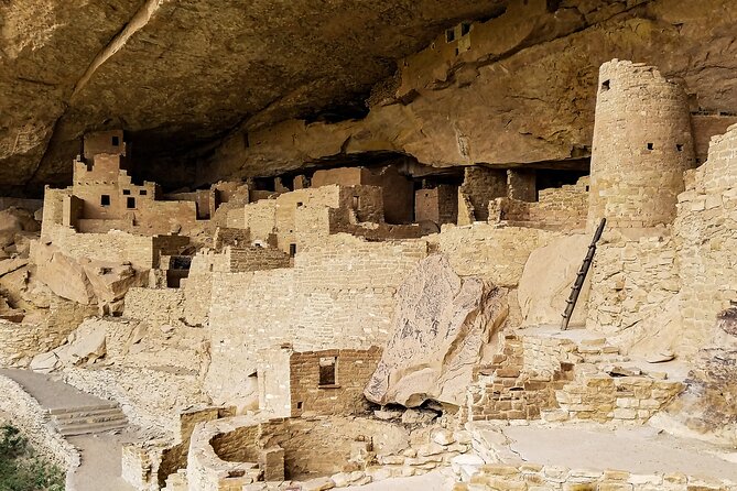Mesa Verde National Park Half Day Tour - Mesa Verde mesa-top villages and kivas: what the stops actually teach you