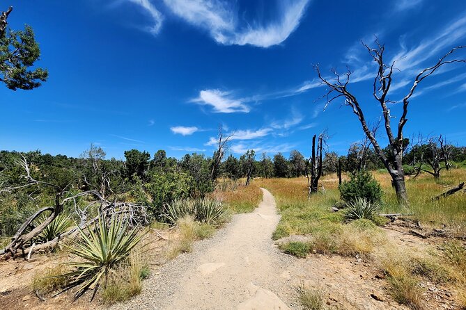 Mesa Verde National Park Self-Guided Audio Tour - Chapin Mesa Archeological Museum and Spruce Tree House: learn first, then walk
