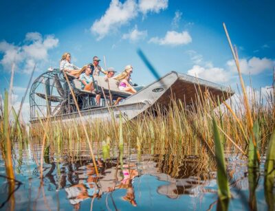 Miami: Everglades National Park Airboat Tour & Wildlife Show - The 35–40 Minute Airboat Ride: Speed, Sawgrass, and Wildlife Spotting