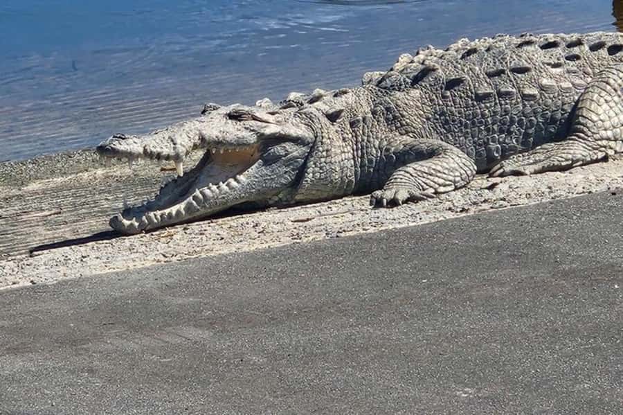 Miami: Everglades National Park Hiking and Kayaking Day Trip - Key Things I’d Bet You’ll Like