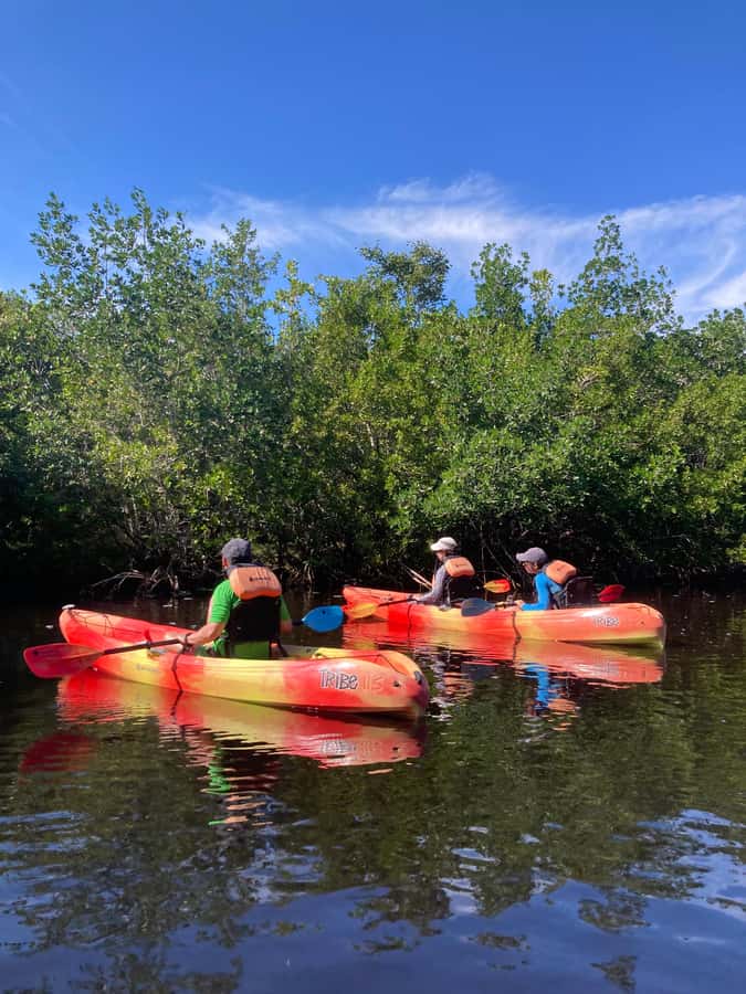 Miami: Everglades National Park Hiking and Kayaking Day Trip - A 9-Hour Everglades Mix That Actually Feels Like Doing Stuff
