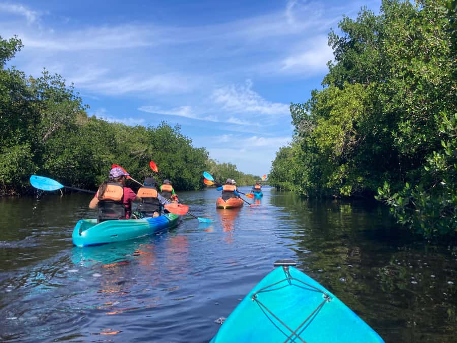 Miami: Everglades National Park Hiking and Kayaking Day Trip - Two Hikes Through Everglades Habitats: Guided Walking With Real Focus
