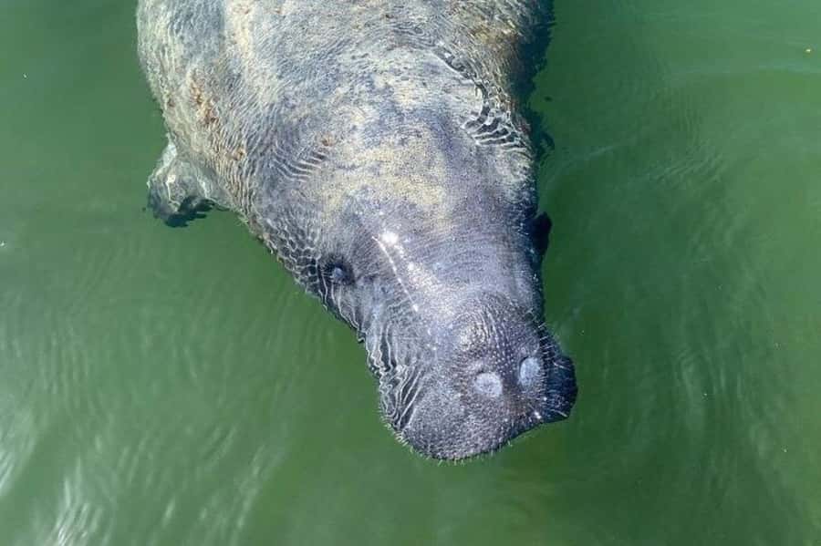 Miami: Everglades National Park Hiking and Kayaking Day Trip - From Miami to the Ernest Coe Visitor Center: The Day Starts Simple