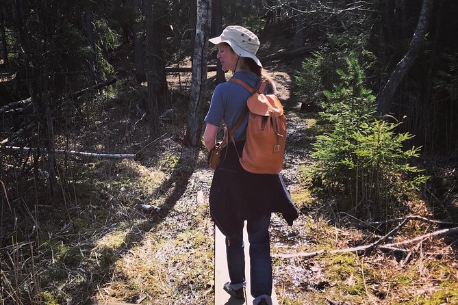 Midnight Sun and Campfire - National Park evening hike Stockholm - Why Tyresta at night is a special kind of Stockholm