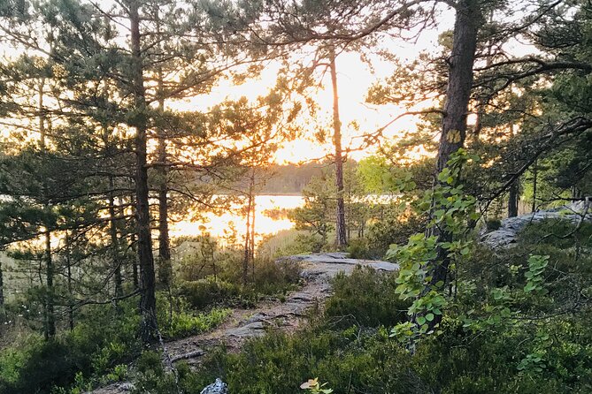 Midnight Sun and Campfire - National Park evening hike Stockholm - The walk from city meeting point to forest silence