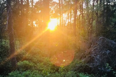 Midnight Sun and Campfire - National Park evening hike Stockholm - Stop 1 in Tyresta National Park: forest, lake views, and campfire time
