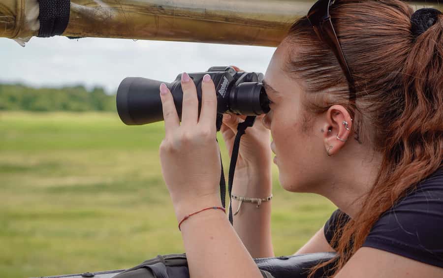 Minneriya: Minneriya National Park Private Elephant Safari - Who This Safari Suits Best (and Who Should Skip It)