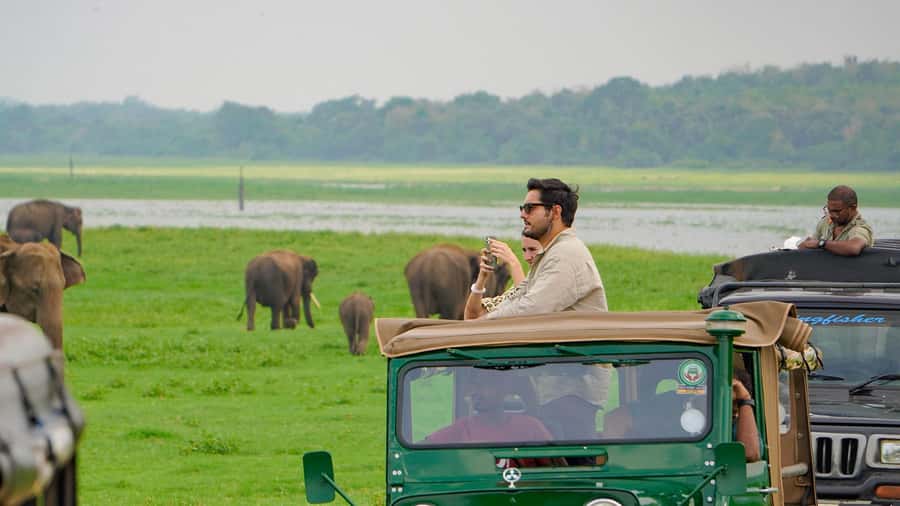 Minneriya: Minneriya National Park Private Evening Safari - Key Points Worth Knowing Before You Go