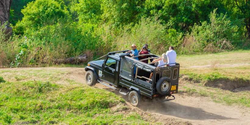 Minneriya: Minneriya National Park Private Safari - What to Bring: Dry Season Sun Safety and Practical Clothes