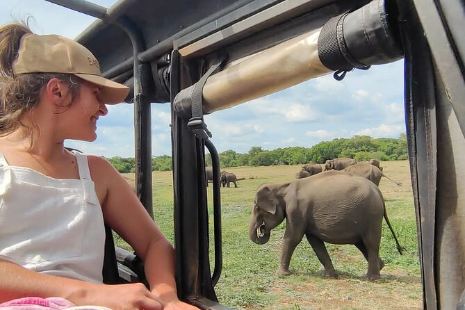Minneriya National Park Elephant Jeep Safari Private Tour - Key highlights you’ll care about