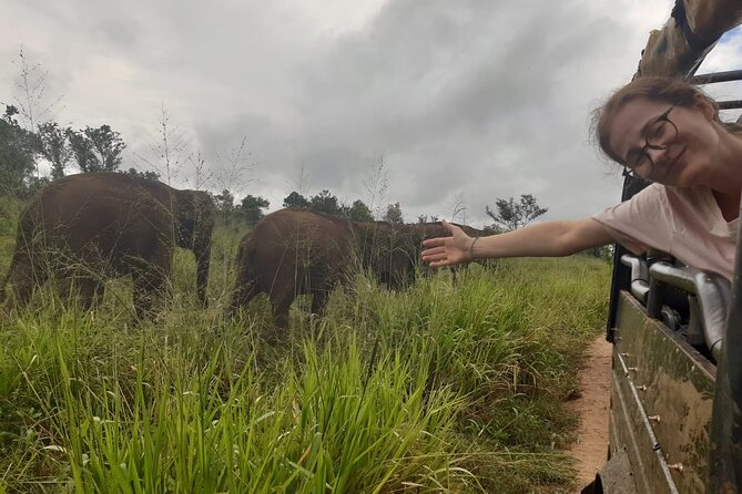 Minneriya National Park Elephant Jeep Safari Private Tour - Minneriya’s elephant draw: why this area gets so many sightings