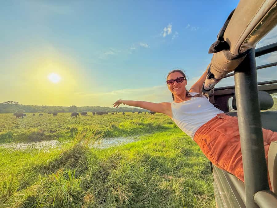 Minneriya: National Park Elephant Safari with Hotel Pickup - The half-day route: forest edges, grasslands, and viewing stops