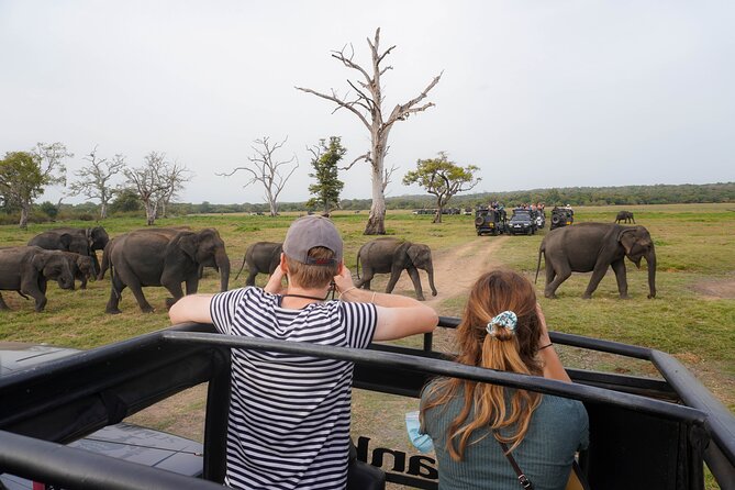 Minneriya National Park Half Day Elephant Safari - Price and Logistics: How the $40 Works (and What’s Extra)