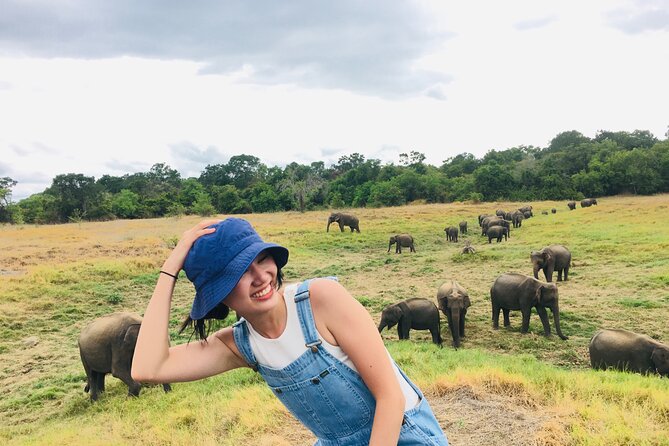 Minneriya National Park halfday Safari - The best part of the itinerary: Minneriya National Park, where elephants meet the water
