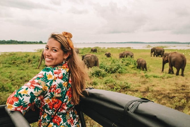 Minneriya National Park Private Safari - Who this safari fits best (and who should think twice)