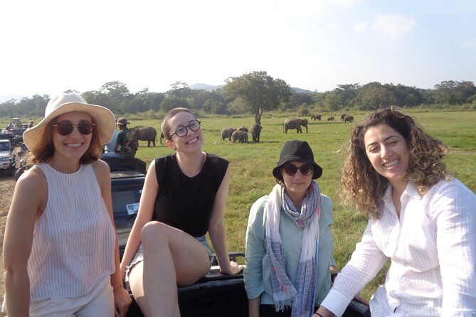 Minneriya National Park Private Safari from Habarana - Giritale Buddha at Sunset: A Nice, Quick Ending