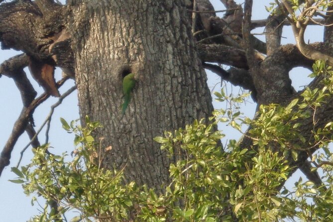Minneriya National Park Private Safari from Habarana - Price and Value: What You Pay vs What You’ll Add