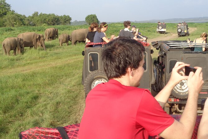 Minneriya National Park Private Safari from Habarana - Group Size, Privacy, and How to Use It