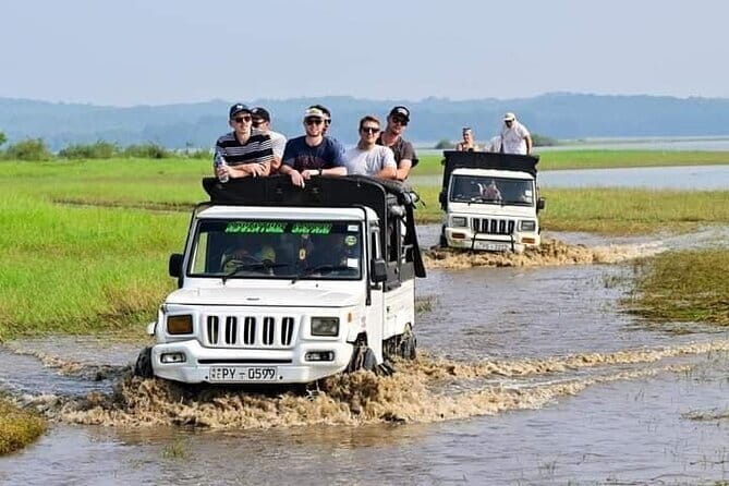 Minneriya National Park Safari from Habarana - Entering Minneriya: your 3-hour jeep safari focus