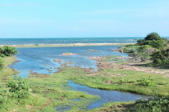 Minneriya National Park : Safari Jeep with Tickets - Private Jeep Safari: comfort that helps your eyes and your timing