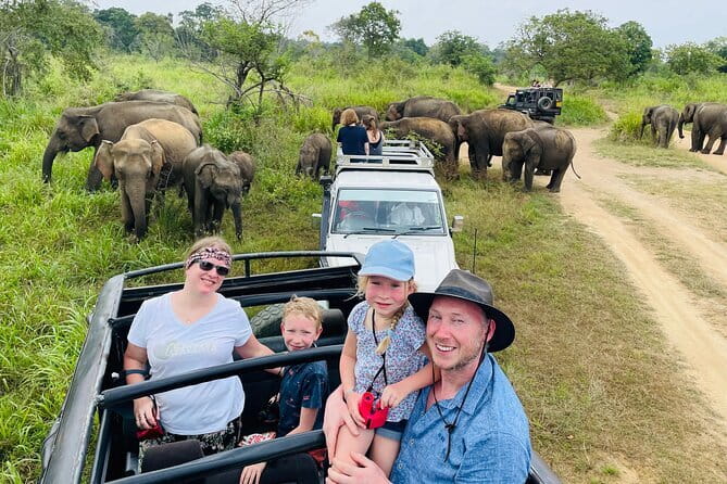 Minneriya National Park Safari - Private Jeep with Hotel Pickup - Minneriya Safari highlights you’ll actually care about