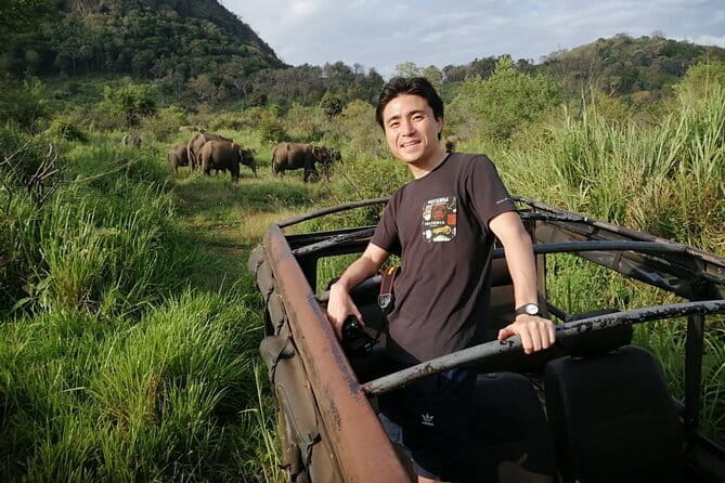 Minneriya National Park Safari - Private Jeep with Hotel Pickup - Hotel pickup and the 4-hour rhythm
