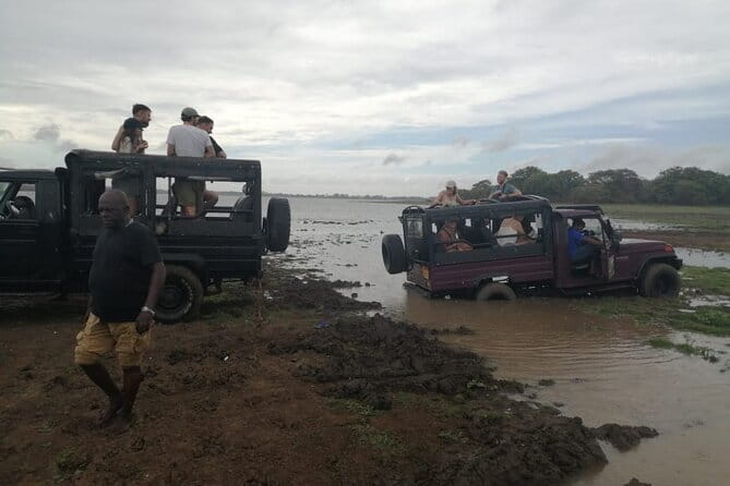 Minneriya National Park Safari - Private Jeep with Hotel Pickup - Cost and value: the $25 tour fee vs the $42 park entrance