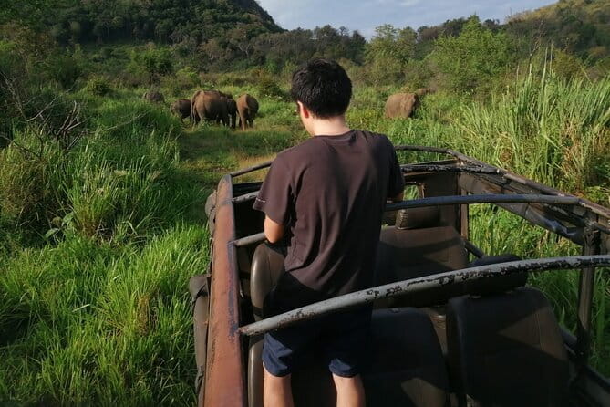 Minneriya National Park Safari - Private Jeep with Hotel Pickup - Private jeep and Asela-style spot planning