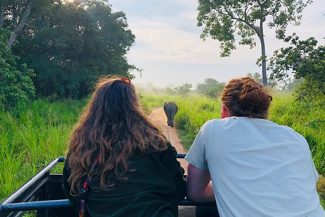 Minneriya National park Safari Sri Lanka - How the Guide Helps You Spot Wildlife (Without the Guesswork)