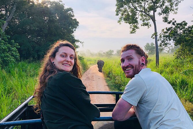 Minneriya National park Safari Sri Lanka - What Your Day Feels Like: A Simple Flow From Pickup to Return