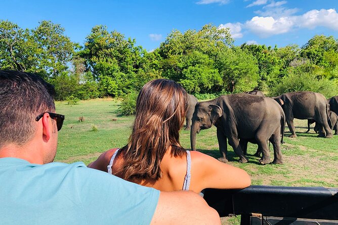 Minneriya National park Safari Sri Lanka - Quick Practical Tips for a Better Safari Day