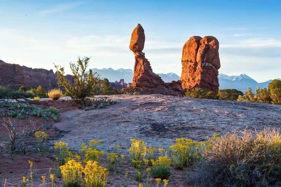 Moab: Arches National Park Morning Adventure Tour - What You Learn Beyond the Main Arches: Rocks, Desert Plants, and History