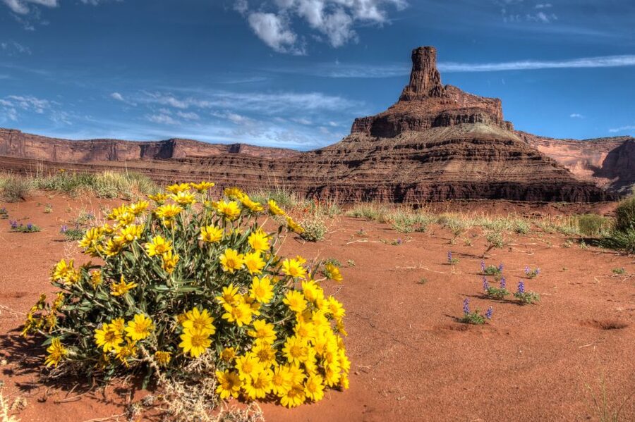 Moab: Canyonlands National Park 4x4 White Rim Tour - Musselman Arch and the backcountry arch hike break