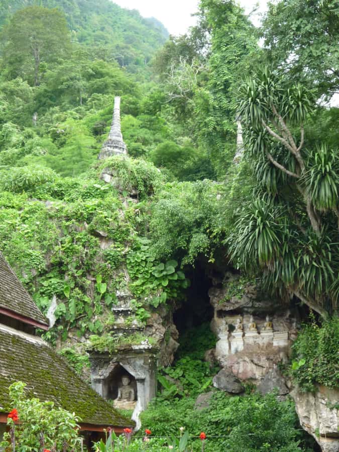 Monks chanting, Wat Doi Suthep and Wat Phalad+ Meditation - Chiang Mai’s temple chain: why these three stops make sense