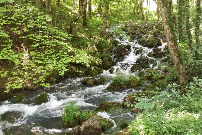 Moraca, Tara & Piva canyons with Durmitor national park - Bobotov Kuk: highland drive views with optional short hikes