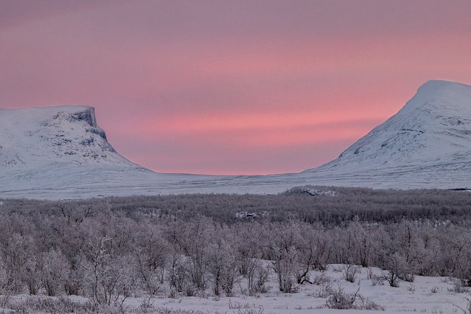 Morning hike in Abisko National Park - Parc Nacional d’Abisko: what you’ll do with your feet and eyes
