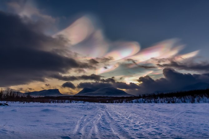 Morning hike in Abisko National Park - Wildlife spotting: luck matters, but track reading gives you a win