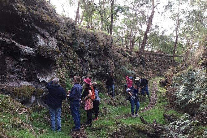 Mount Eccles Volcano – Budj Bim National Park - Key things I’d lock in before you go