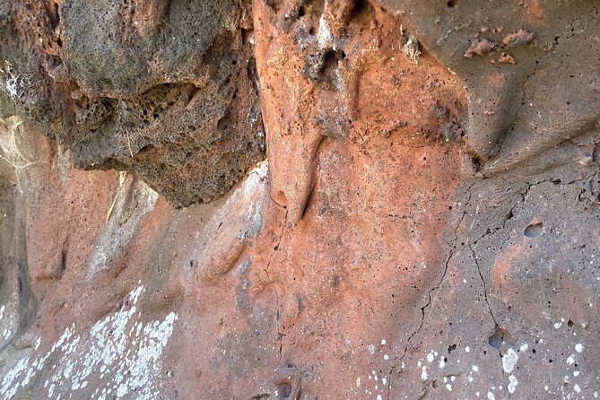 Mount Eccles Volcano – Budj Bim National Park - The Tumuli (lava blisters) moment: where science turns visual