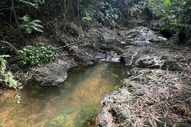 Mount Healthy National Park Private Hike Tour in Tortola - Key things to know before you go