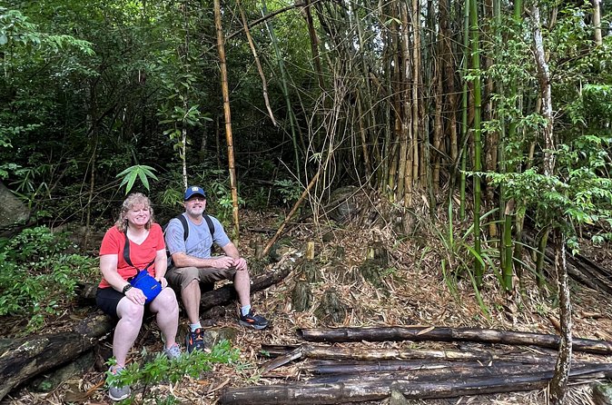 Mount Healthy National Park Private Hike Tour in Tortola - Cooling down with lemonade, fruit, and lemongrass towels