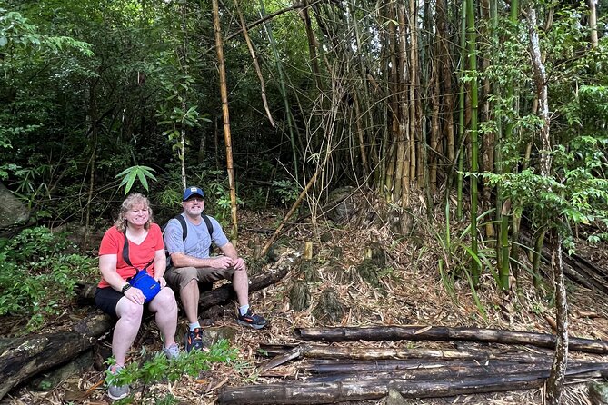 Mount Healthy National Park Private Hike Tour in Tortola - Getting picked up and meeting your guide at the pier