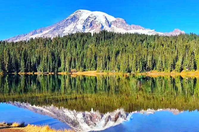Mount Rainier National Park Day Tour from Seattle - Key things I’d bet on with this Mount Rainier tour