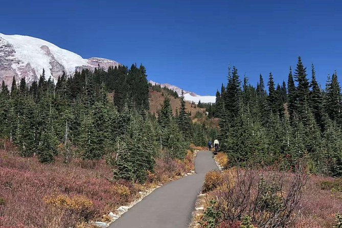 Mount Rainier National Park Day Tour from Seattle - How This 10-to-11 Hour Rainier Day Trip Runs from Seattle