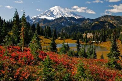 Mount Rainier National Park Day Tour from Seattle - Summer Waterfalls Run: Christine Falls and Narada Falls