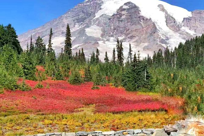 Mount Rainier National Park Day Tour from Seattle - Guides Matter: When Chris, Ryan, Chen, Nan, and Jackie Set the Tone