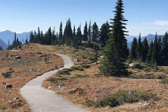 Mount Rainier National Park Day Tour from Seattle - Comfort and Timing: Vans, Tight Legroom, and Traffic Delays